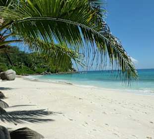 Insel
