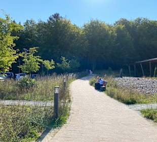 Baumwipfelpfad, Rügen