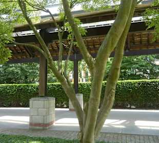 Parkanlage Planten un Blomen