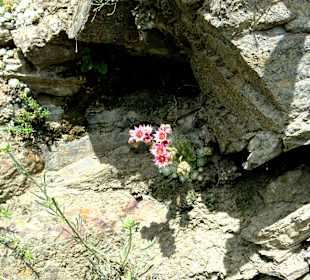 Von der Wanderung Sonnensteig
