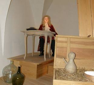 Замок Альбрехтсбург. 