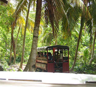 Ausflug Jeep Safari