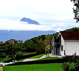 Blick von Faial auf Pico