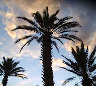 Guided Tours Sud Aventures Tours Agadir