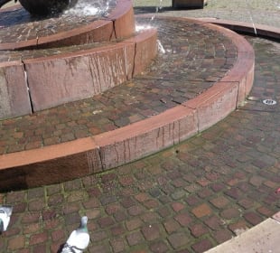 Sebastian-Münster-Brunnen