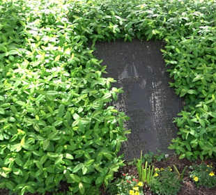 Friedhof Pfalzgrafenweiler