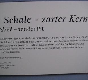 Abalone / Seeohr Infos