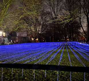 Lichtkunstfestival RE.LIGHT