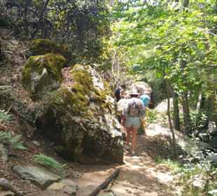 Wasserfallverlauf ist wunderschön