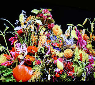 Unterschiedliche Blumen verblühen