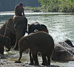 Elefantencamp