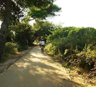 Fuß-/Radweg Naturreservat