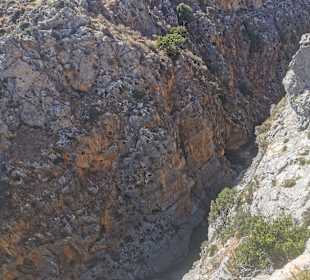 Wandern Damnoni
