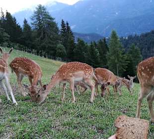 Wandern Oberdrauburg