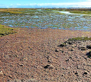 Parque Natural da Ria Formosa