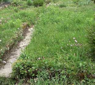 Naturinfopfad Weggental