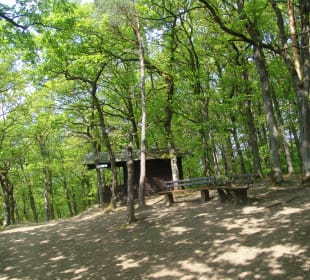Traumschleife Ehrbachklamm 2022 - Rückweg