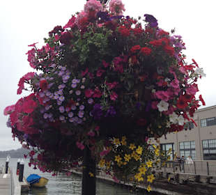 An den Piers, in Nähe des Hotels