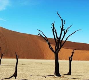 Dead Vlei