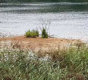 Naturschutzbereich
