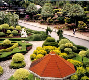 Nong Nooch Tropical Garden