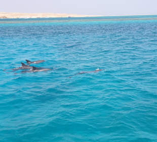 Kariobikfeelingtour / Sandbank