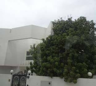 Stadtrundfahrt Dubai