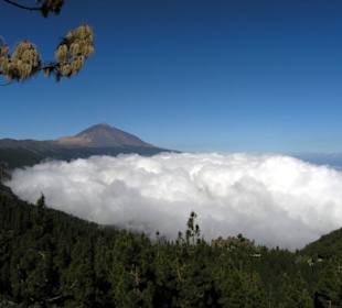 Parque del Teide