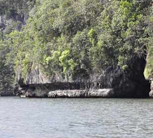 Naturpark Los Haitises - Höhleneingang
