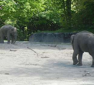 Tierpark Hagenbeck