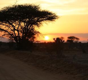 Tsavo Ost