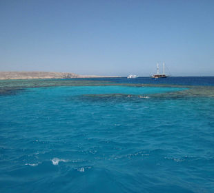 Riff - nicht wirklich toll