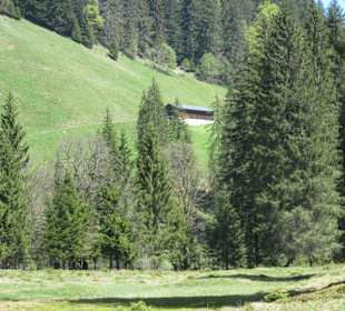 Blick zur Alpe Sack / Schönenbacher Tal