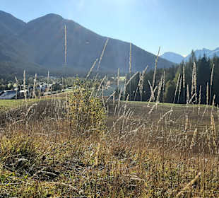 Wildsee