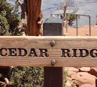 Cedar Ridge