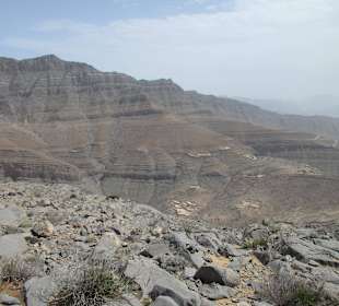 Safari nach Jebel Harim 