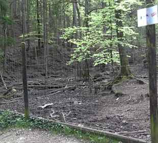 Walderlebnisweg Rottenburg