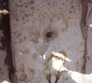 Oznaczenie domu publicznego