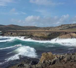 Aruba Nordküste