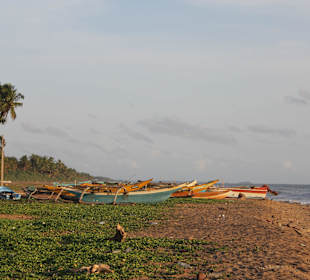 Abendstimmung am Strand von Kalutara