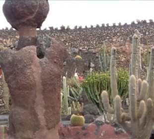 Jardín de Cactus