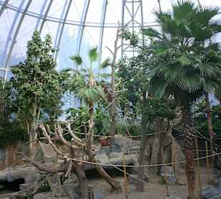 Das Affenhaus - Ein echtes Highlight