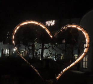 We love it!