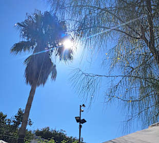 Hippiemarkt Las Dalias