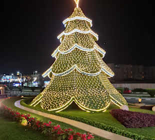 Stadtrundgang Sharm el Sheikh/Na'ama Bay