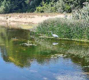 Naturschutzgebiet Baltata