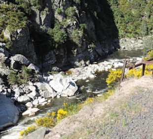 Mitder Taileri Railway durch die Natur Neuseelands