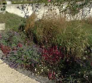 Klostergarten - Garten der Pilger Oberelchingen