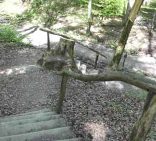Wanderweg Hochgehwachsen