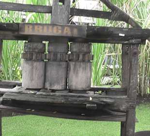 Alte Zuckerrohrpresse